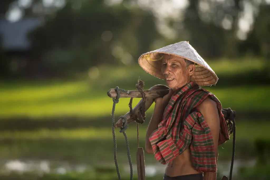 asian-rice-farmer