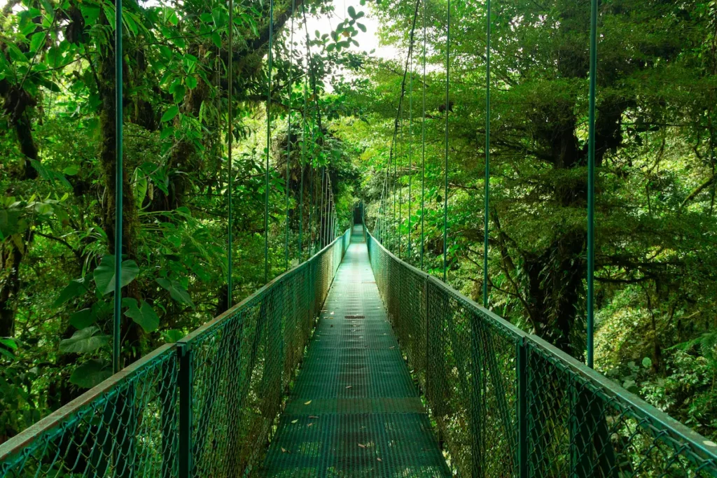 breathtaking-view-of-hanging-bridge-in-monteverde