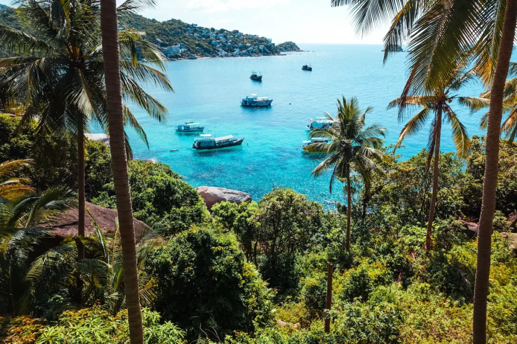 coconut-trees-on-the-island
