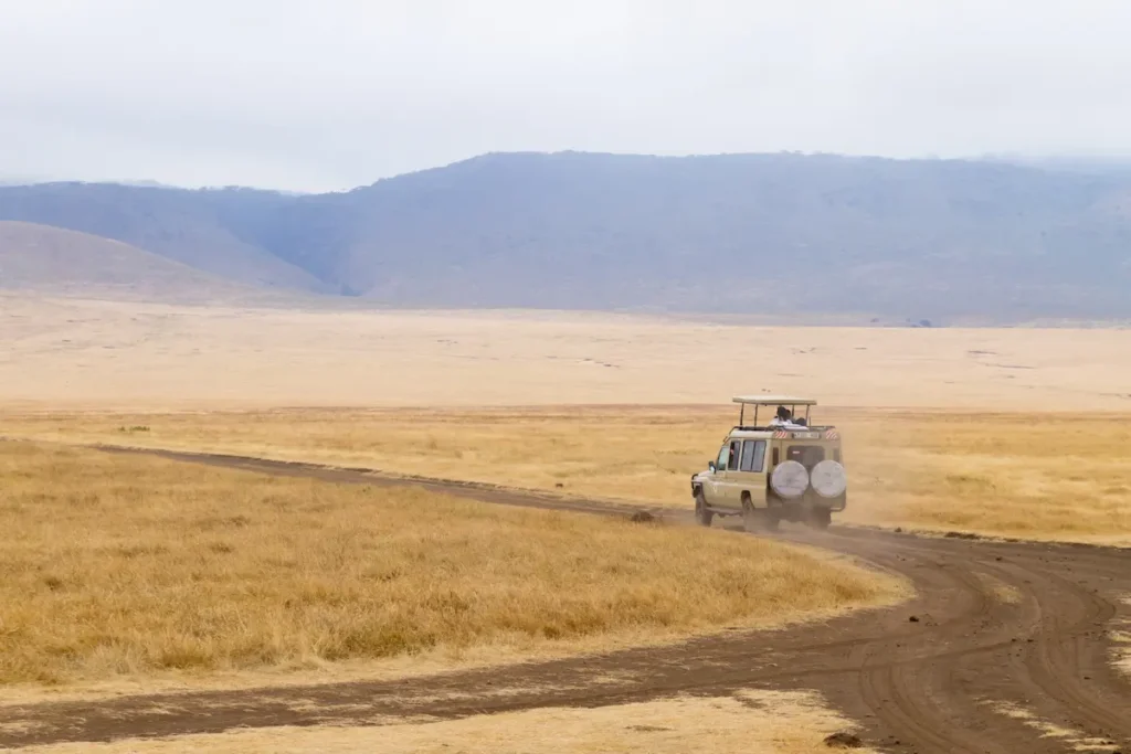 dirt-road-on-ngorongoro-crater-tanzania