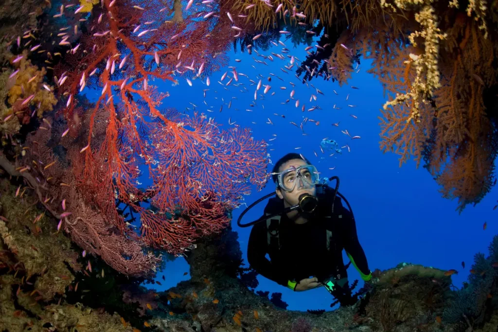 diver-observes-coral-reef-in-deep-blue-sea