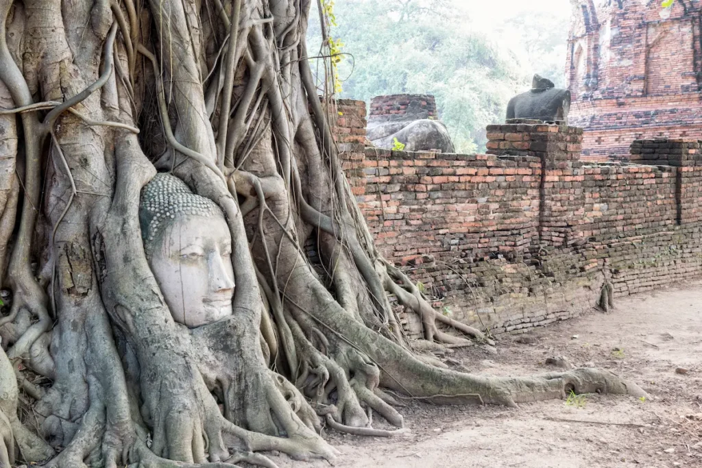 head-buddha-statue-in-the-roots-tree