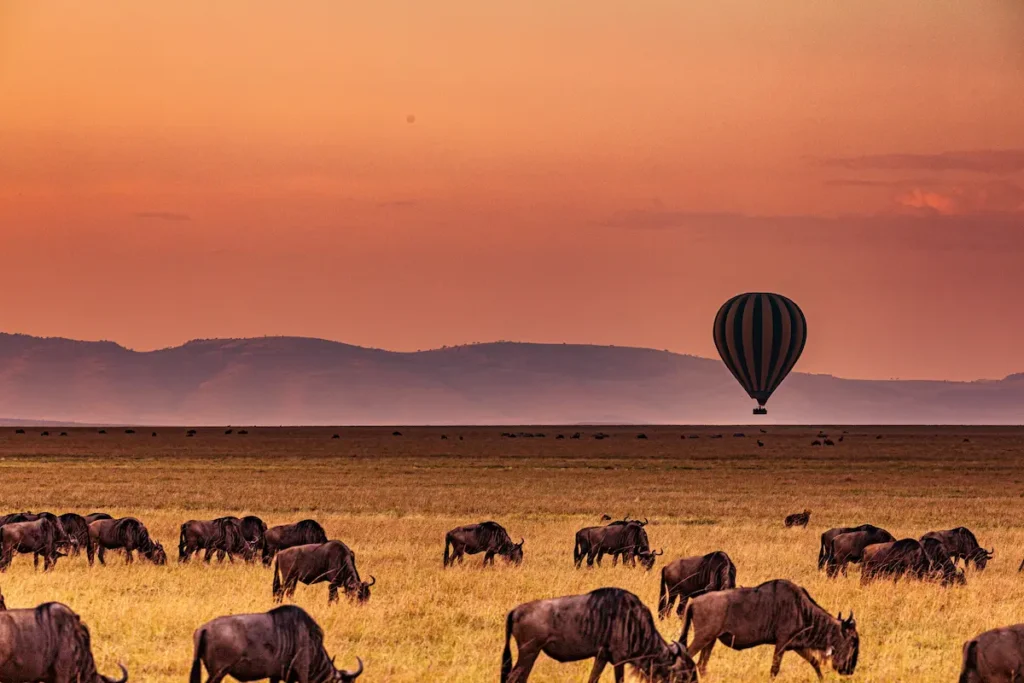 kenya-landscapes-magical-sunset