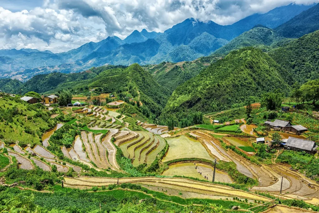 rice-field-terraces-near-sapa