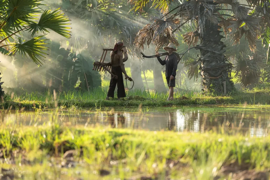 rural-scene-of-workers-in-field-at-sunrise