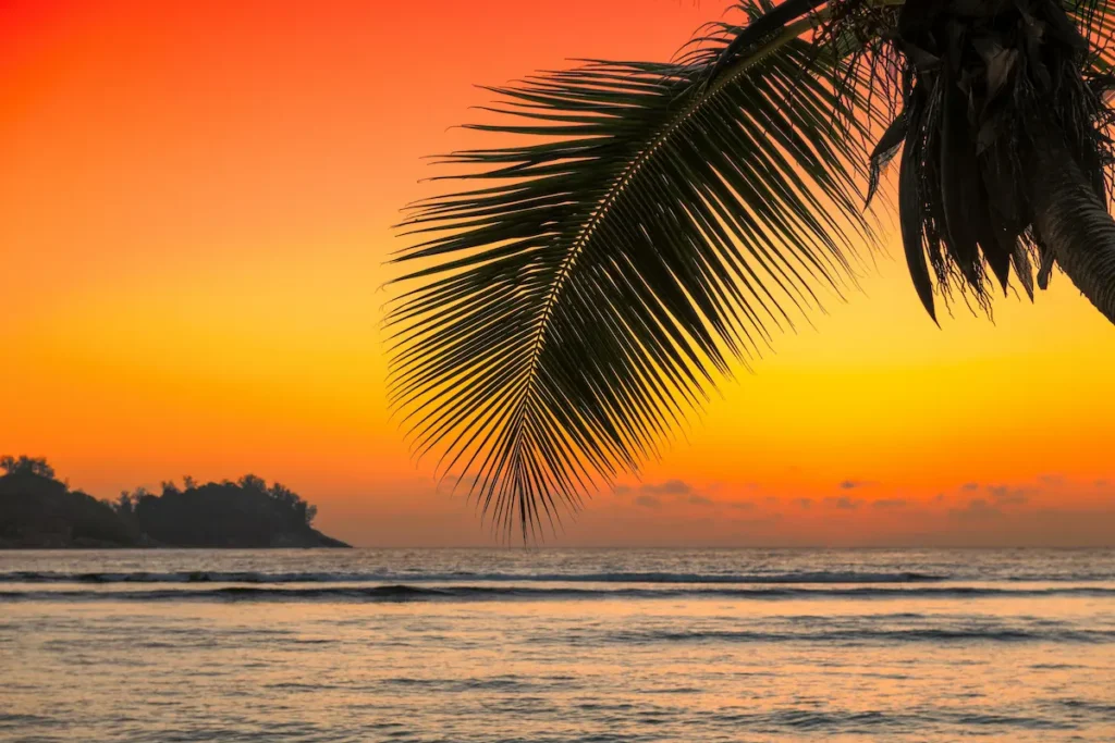 seascape-landscaped-beach-sunset