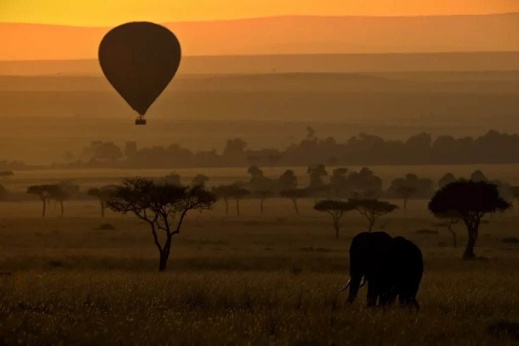 silhouette-of-an-elephant-in-savanna-and-an-air-balloon