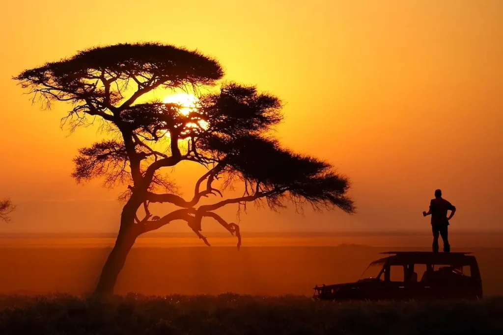 silhouette-standing-on-safari-vehicle-at-golden-sunset