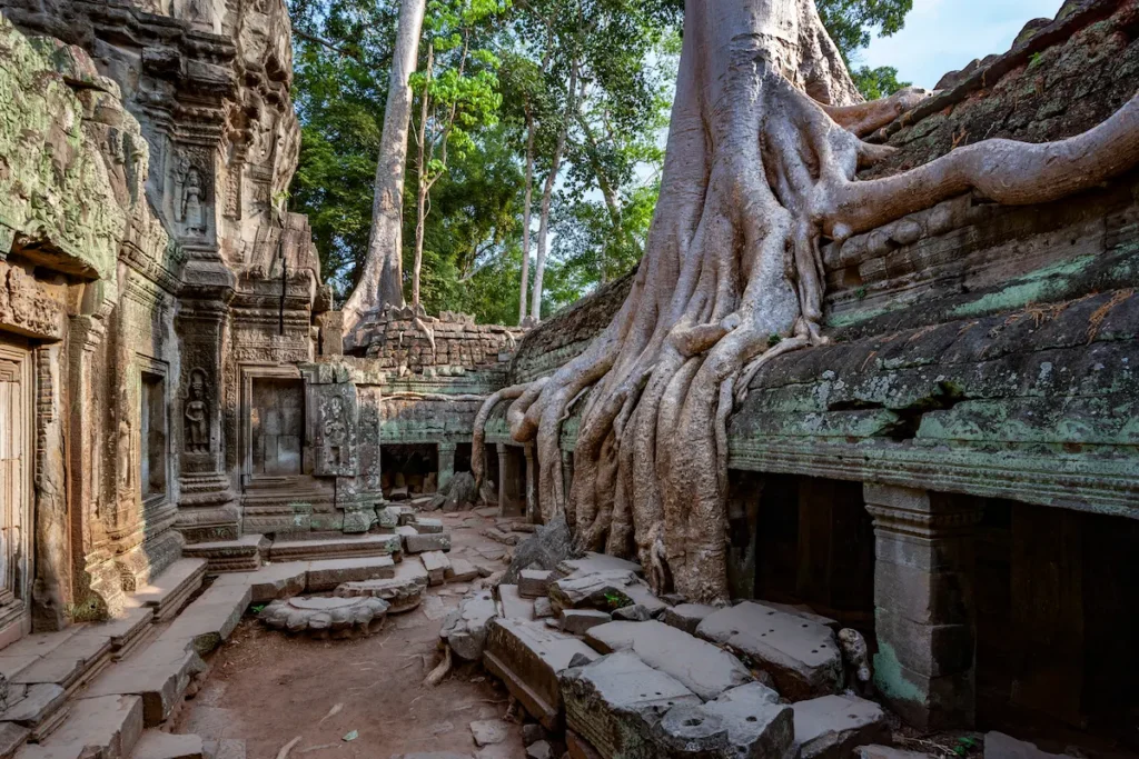 ta-prohm-angkor-wat-cambodia