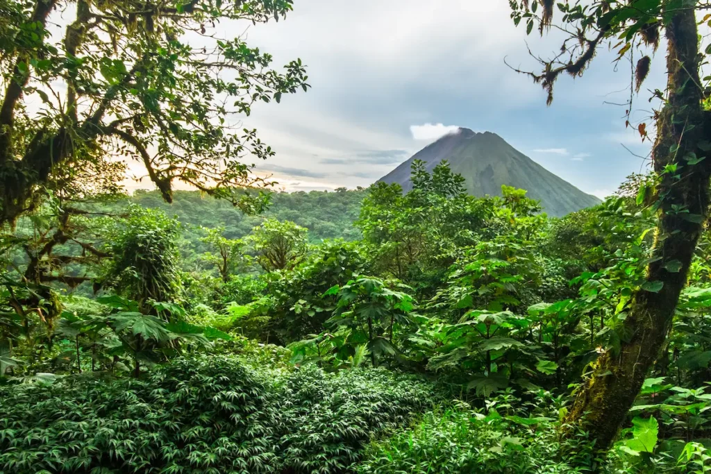 volcan-arenal-among-dense-jungle-in-costa-rica