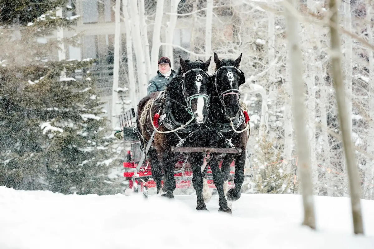Sleigh_Ride_06.jpg