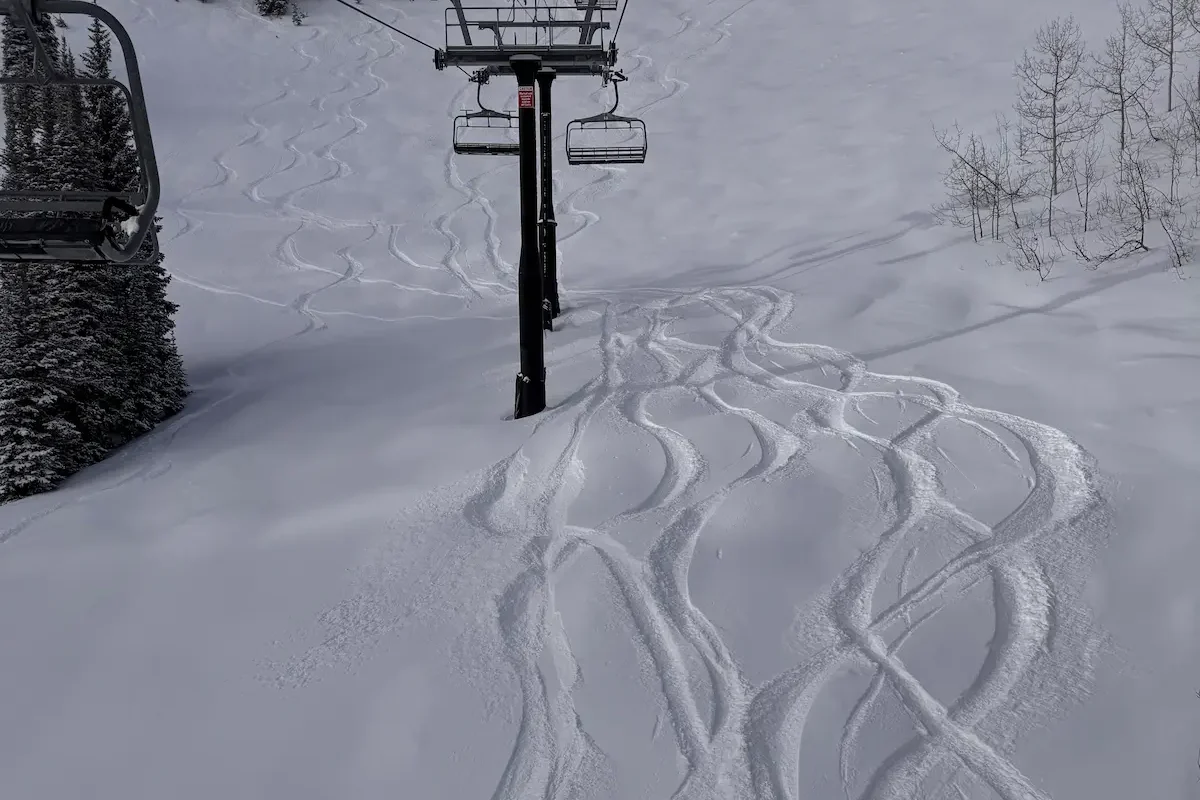 powder-ski