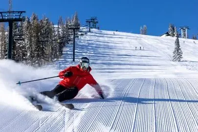 tedligetyspringskiing