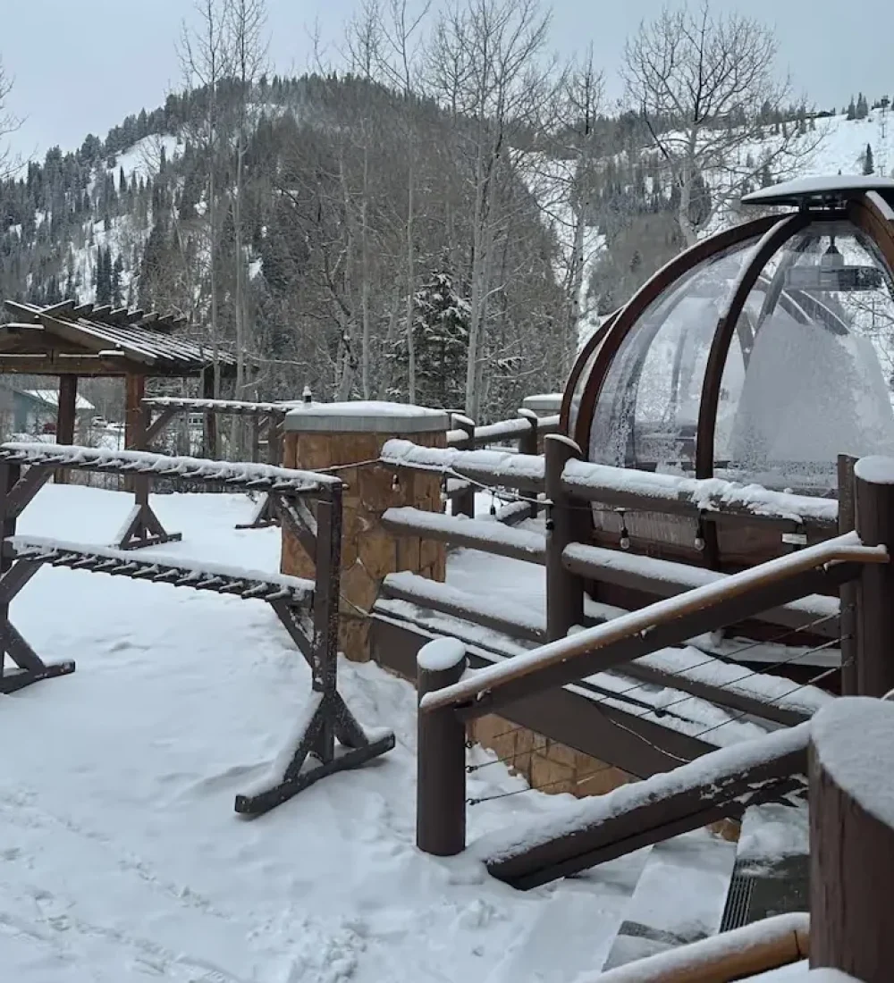 Ext-Stein-eriksen-deer-valley